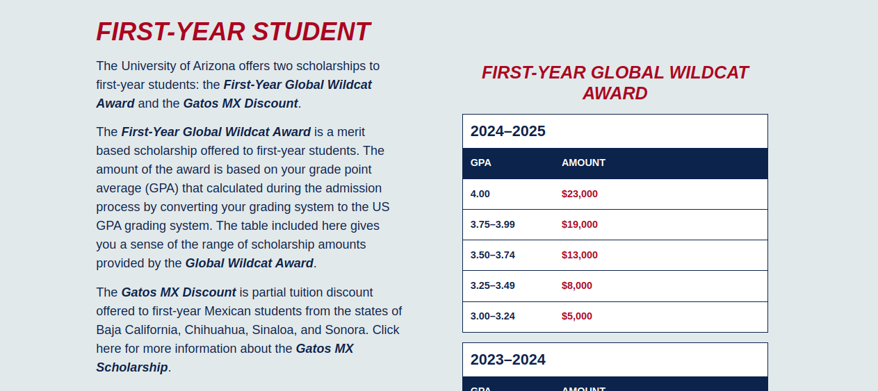 Study in US: University of Arizona Global Wildcat Award Available for International Applicants  
