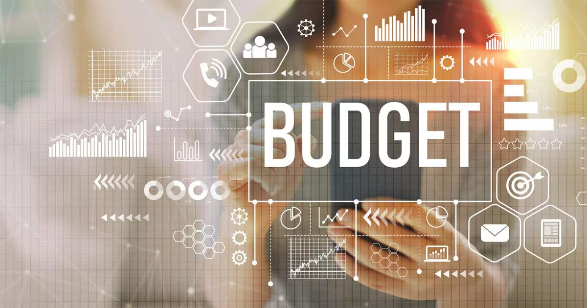 Determine the business budgets and needs 