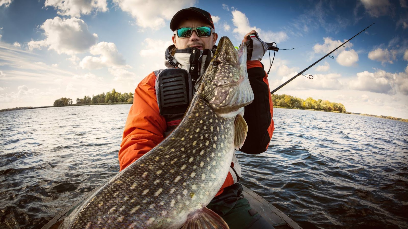 All About Pike Fish - Targeting Trophy Pike Fish