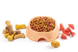 Pet Food