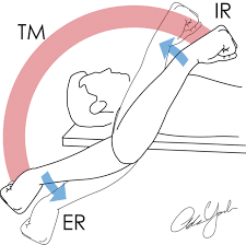 Shoulder Total Arc Range of Motion