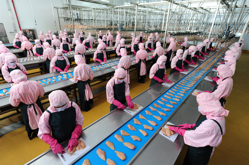 Ấp ủ từ ước mơ “xây dựng sản phẩm Việt cho người Việt và do người Việt quản lý” tại thị trường Nhật