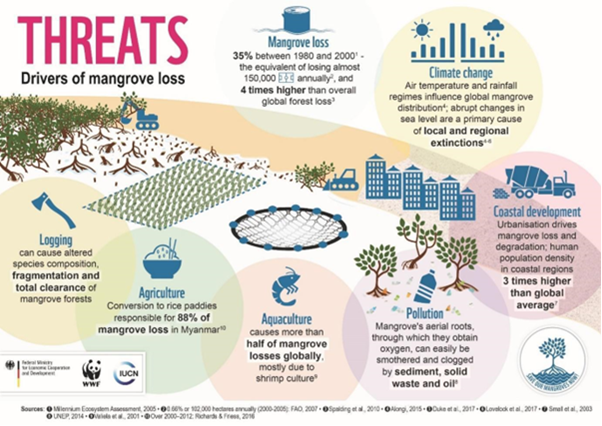 Mangroves and coastal ecosystems | IUCN