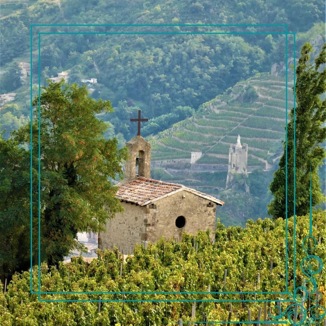 A building with a cross in front of a vineyard

Description automatically generated