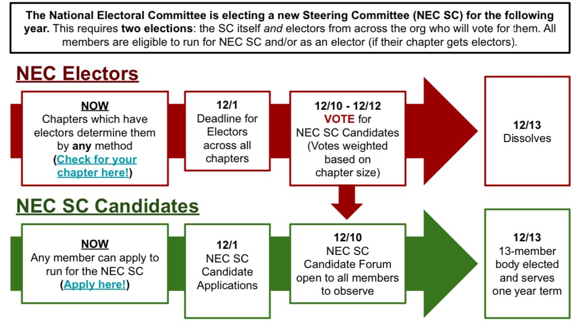 Critique and Reflection on the NEC Steering Election