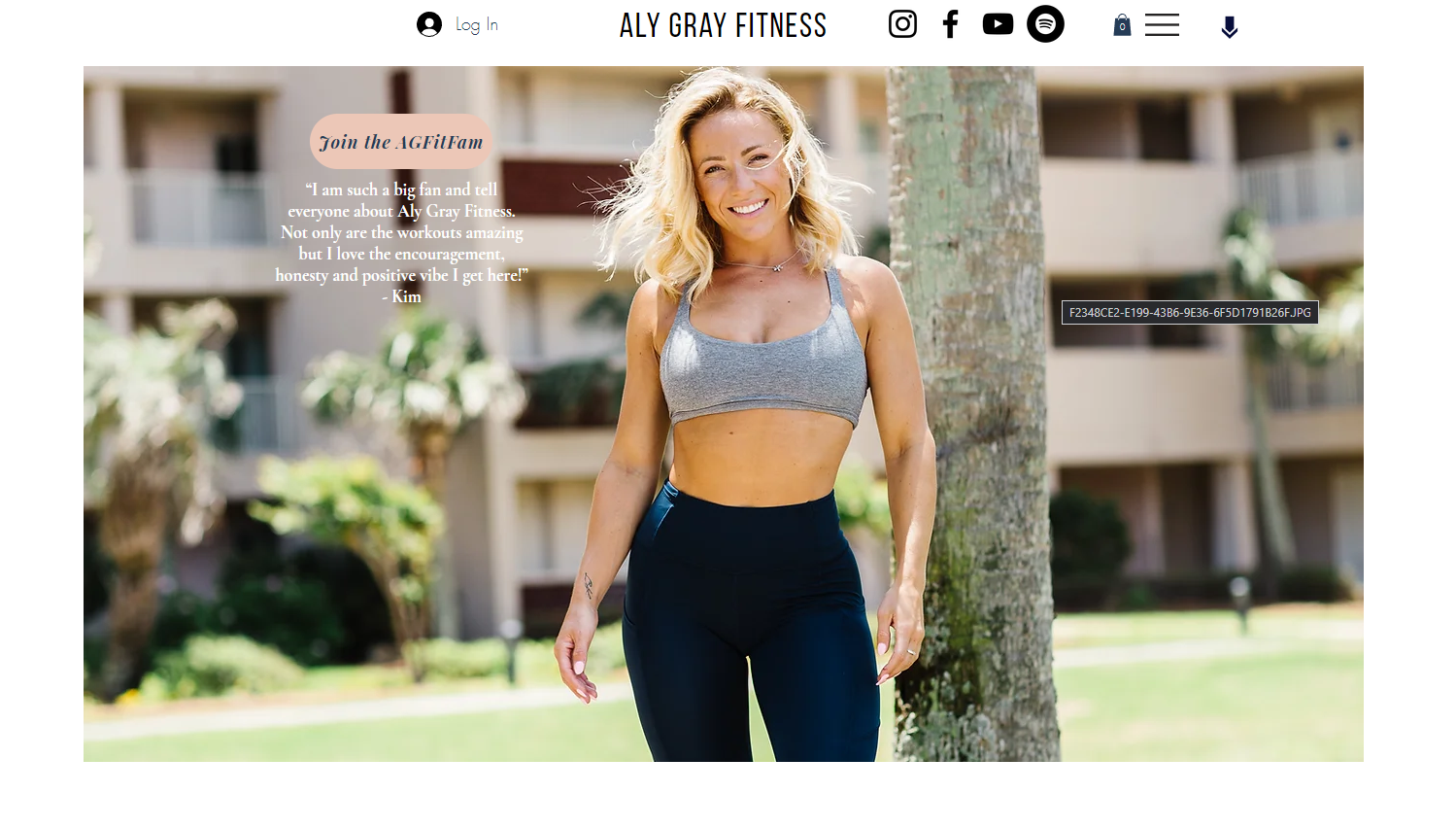 Fitness Website Aly Gray Fitness