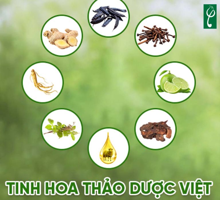 Nam dược Hải Long sử dụng nguyên liệu đạt chuẩn chất lượng quốc tế 