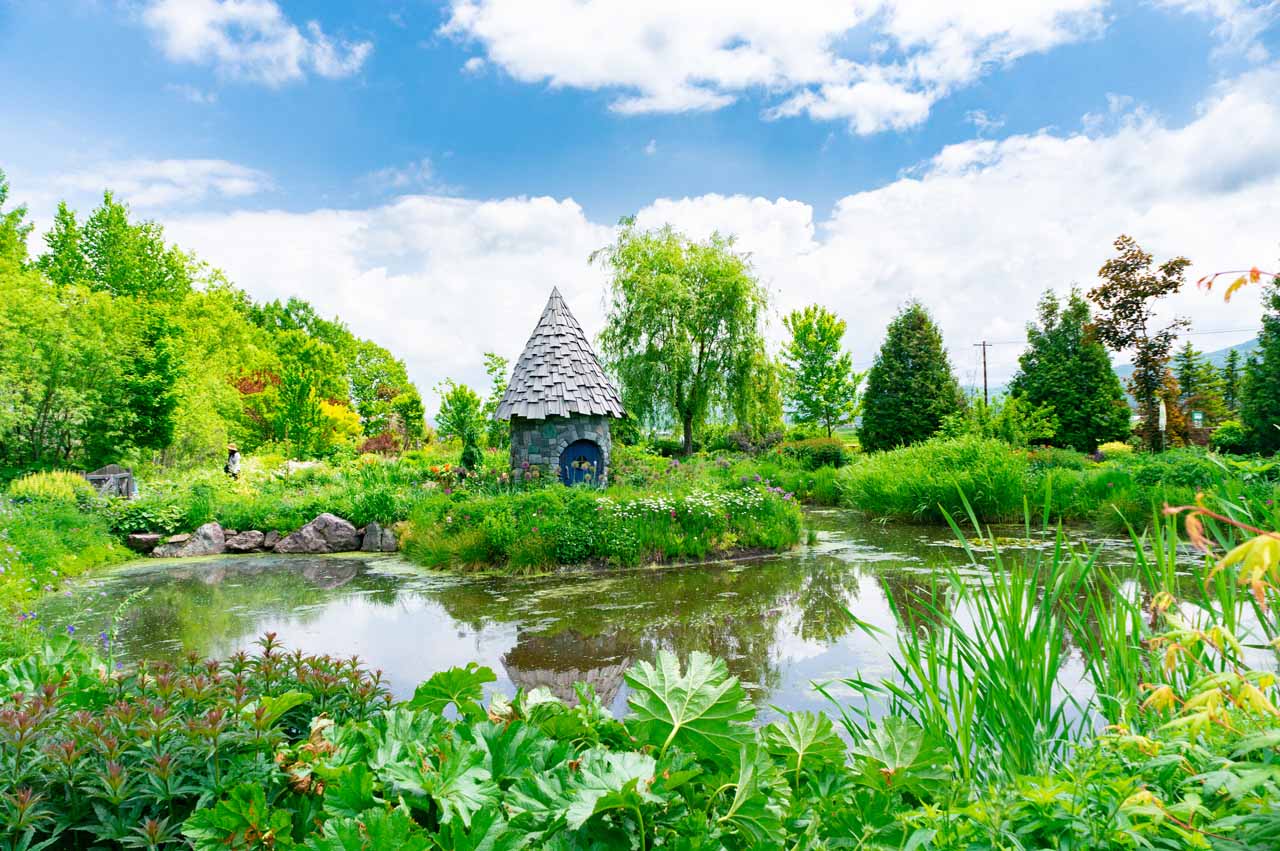 2.色とりどりの花を見て回る庭園散歩「上野ファーム」