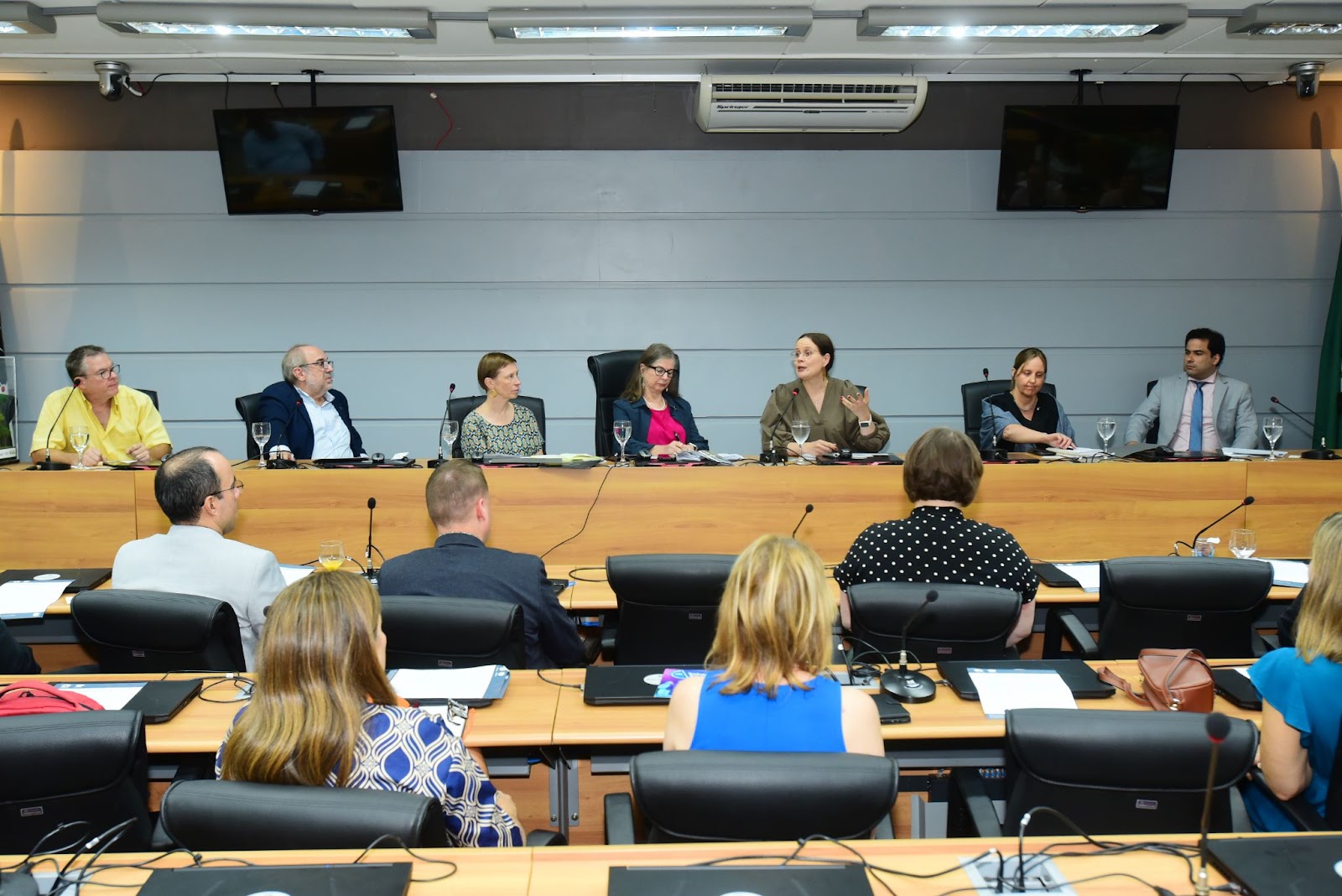 mesa diretiva da visita da comitiva da Finlândia.
