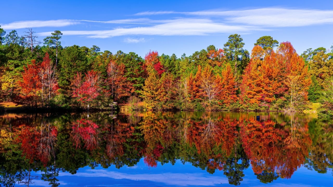 Raleigh, North Carolina