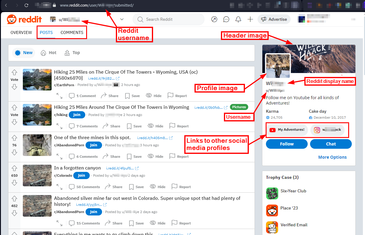 Figure 3 - A General overview of the reddit profile page