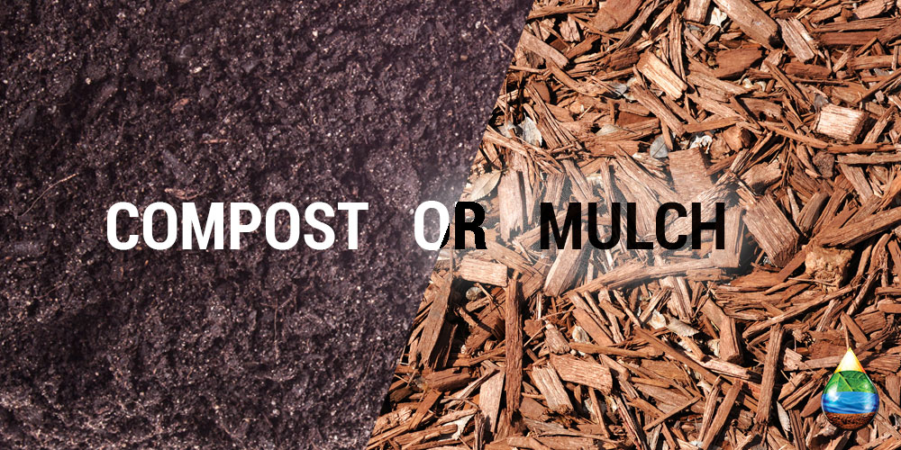 Can You Use Compost As Mulch