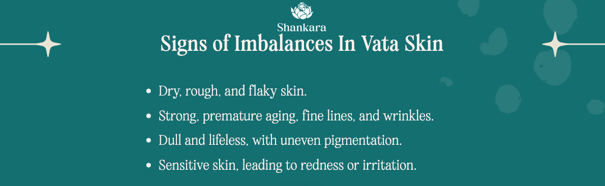 Infographic on signs of imbalances in vata skin.