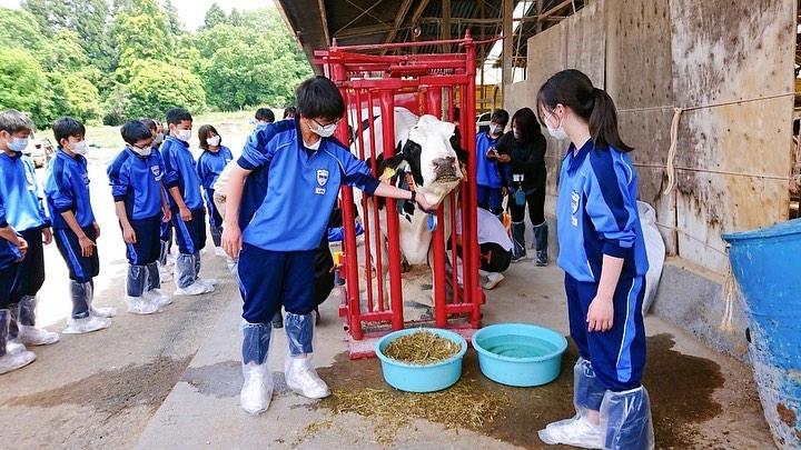 屋外, 人, 建物, 子供 が含まれている画像

自動的に生成された説明