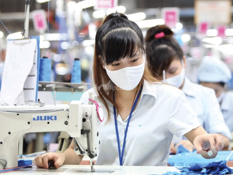 Việc làm công nhân ở Tuyên Quang