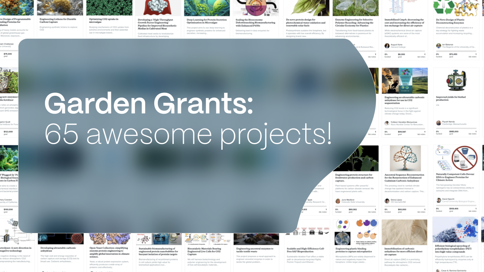 Image showing 65 climate biotech projects on the Experiment.com website with the text over "Garden Grants: 65 awesome projects!"