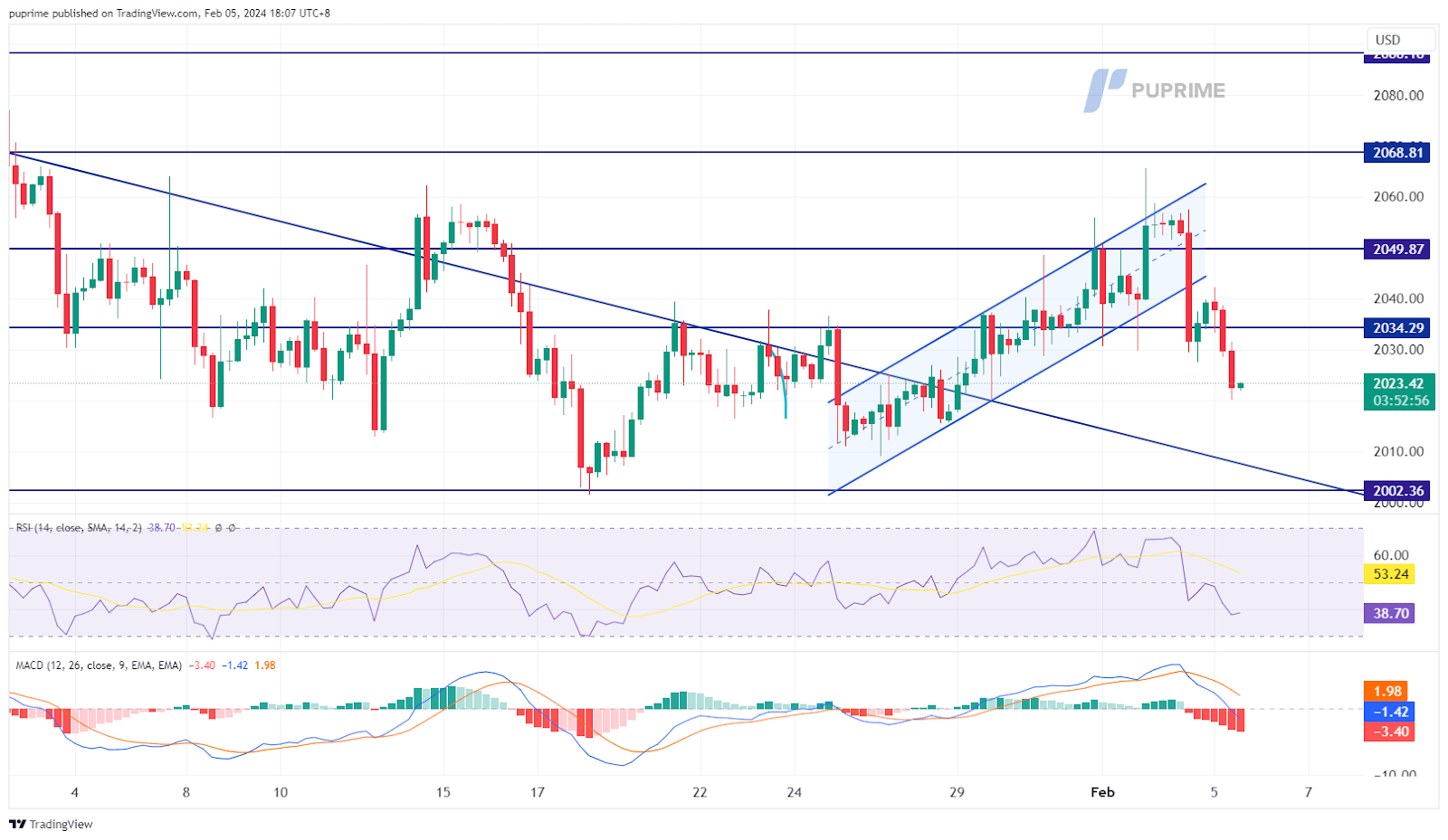 gold price chart 5 February 2024