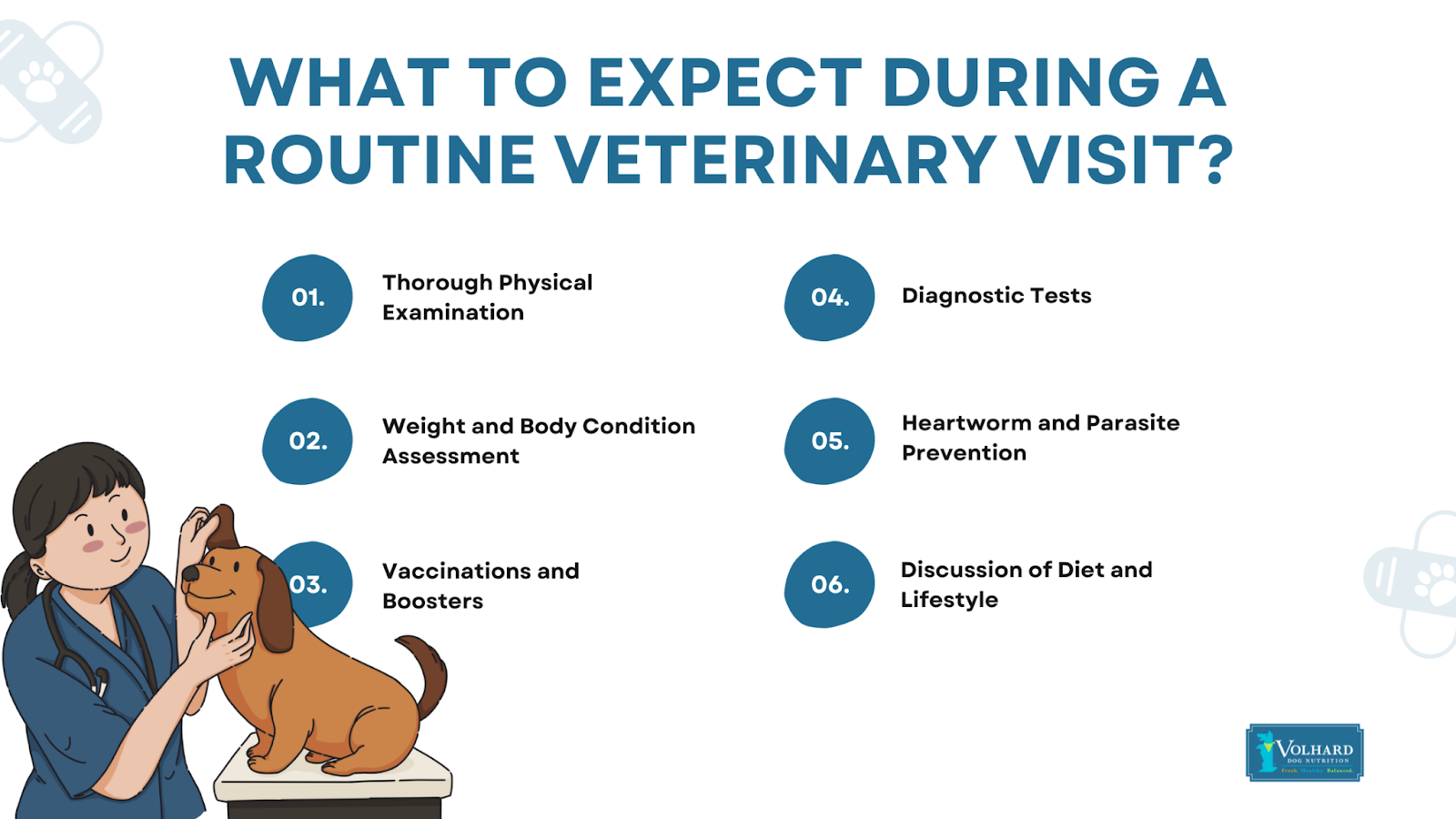 Routine veterinary visit