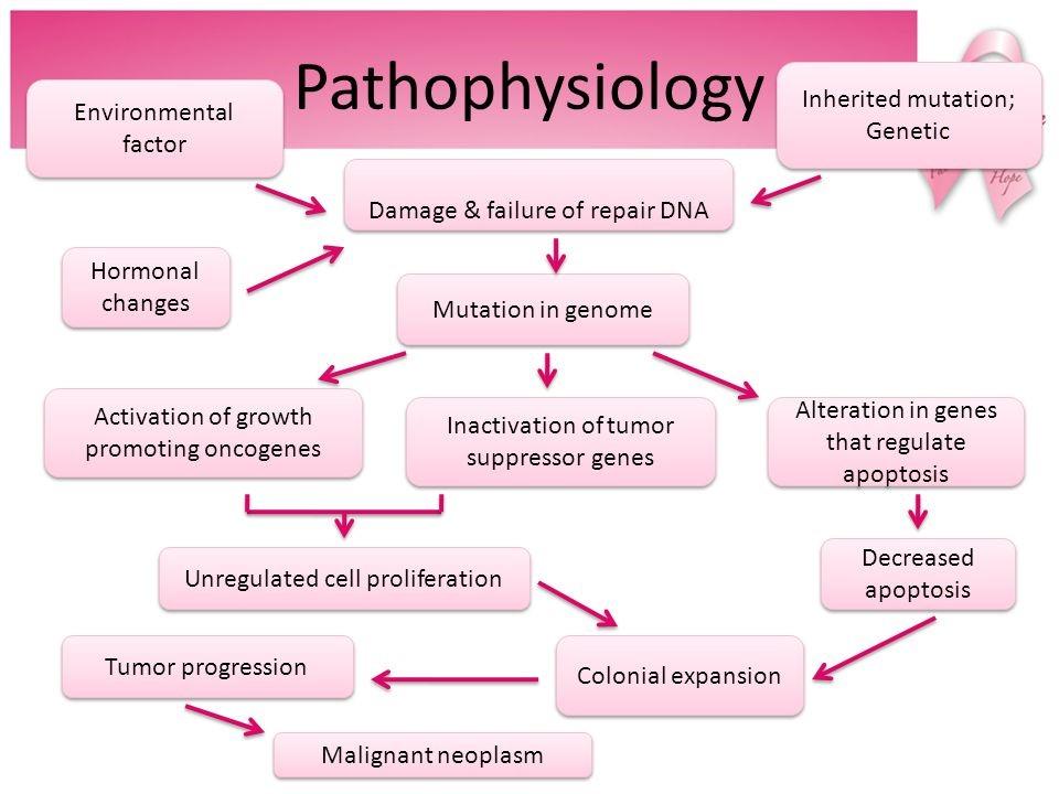 pathophysiology - Public Health Notes