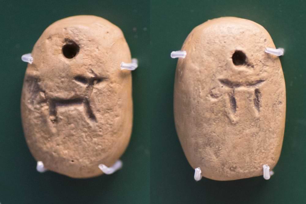 Pre-cuneiform tags, with a drawing of a goat or sheep and a number (probably “10”), Al-Hasakah, 3300–3100 BCE, Uruk culture