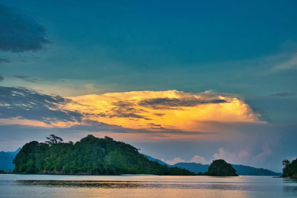 green trees on island during sunset