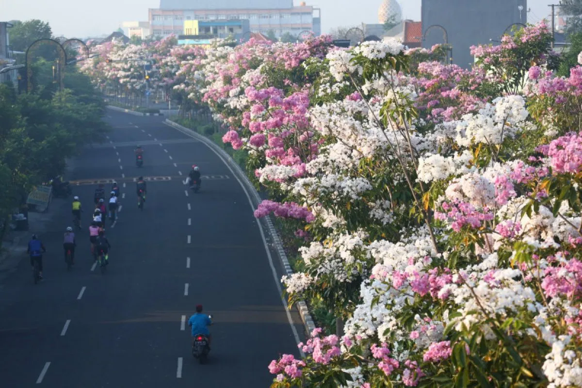 Tempat Wisata di Surabaya Ini Buat Kamu Seperti Berada Di Jepang