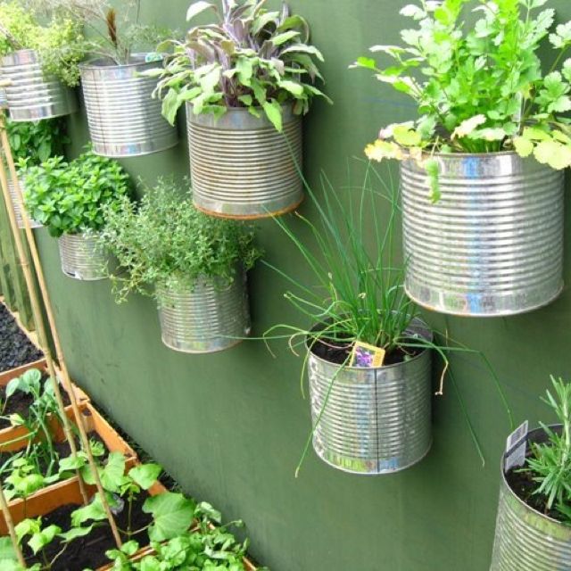 Tin can planters | Container herb garden, Diy herb garden, Vertical ...