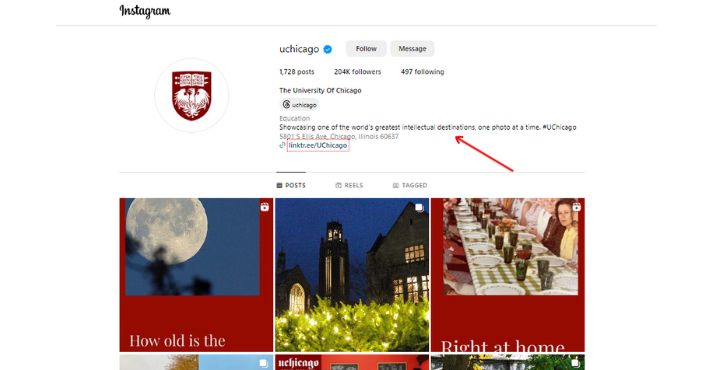 University of Chicago Marketing Campaigns example