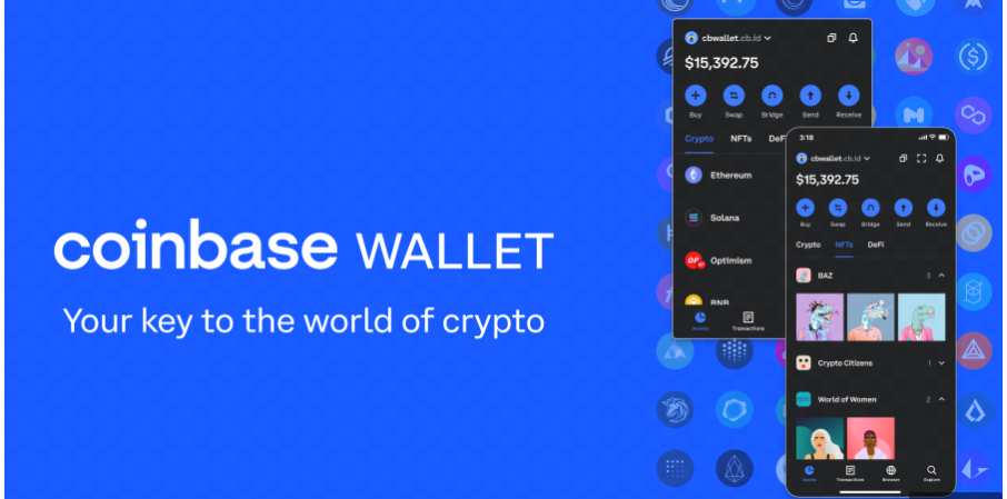 Software Wallets: Enabling Transfer and Storing of Crypto