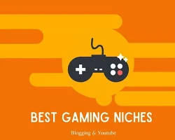 Image of Gaming niche