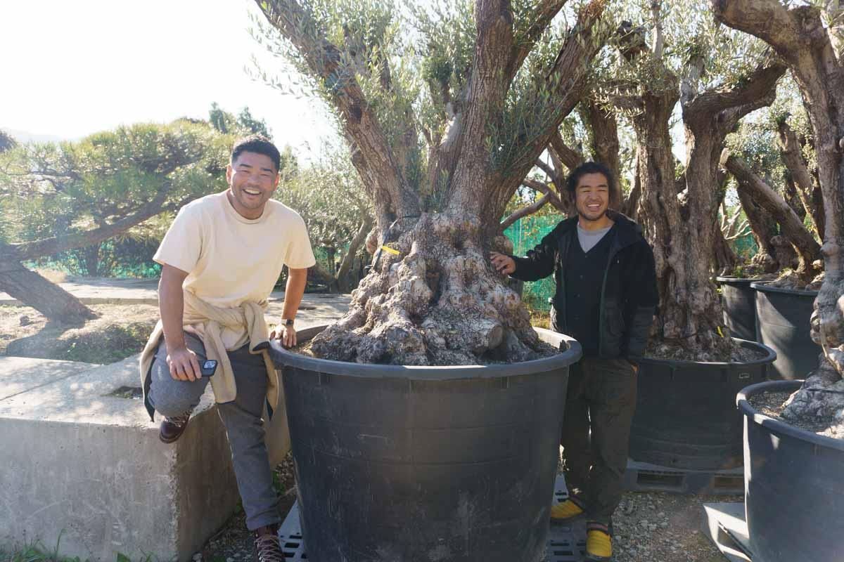 木の枝に座っている男性たち

低い精度で自動的に生成された説明