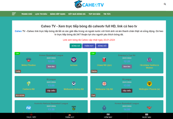 Giới thiệu tổng quan về trang xem bóng đá trực tiếp Caheo TV