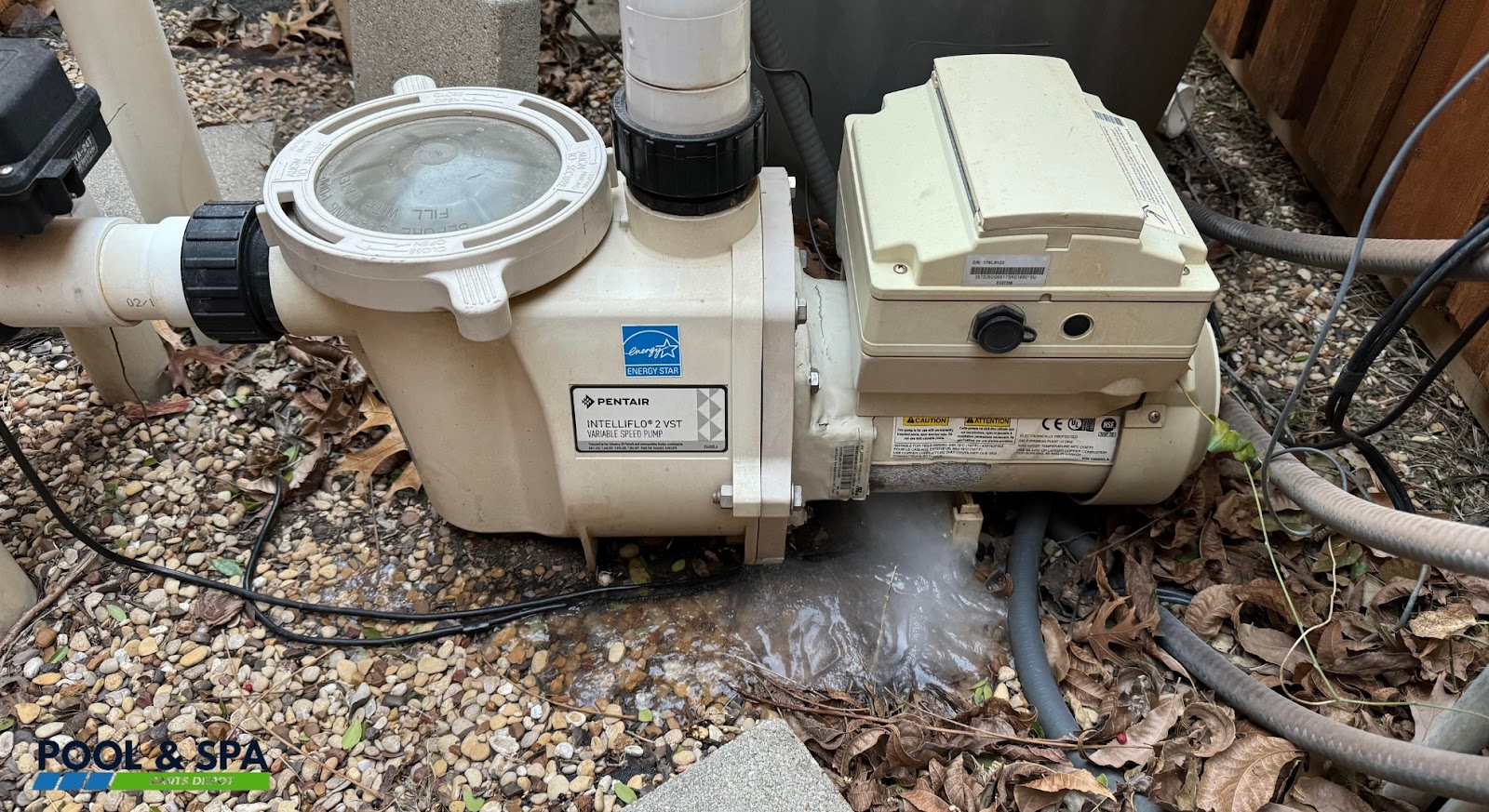 Common Causes of Leaking in Swimming Pool Pumps
