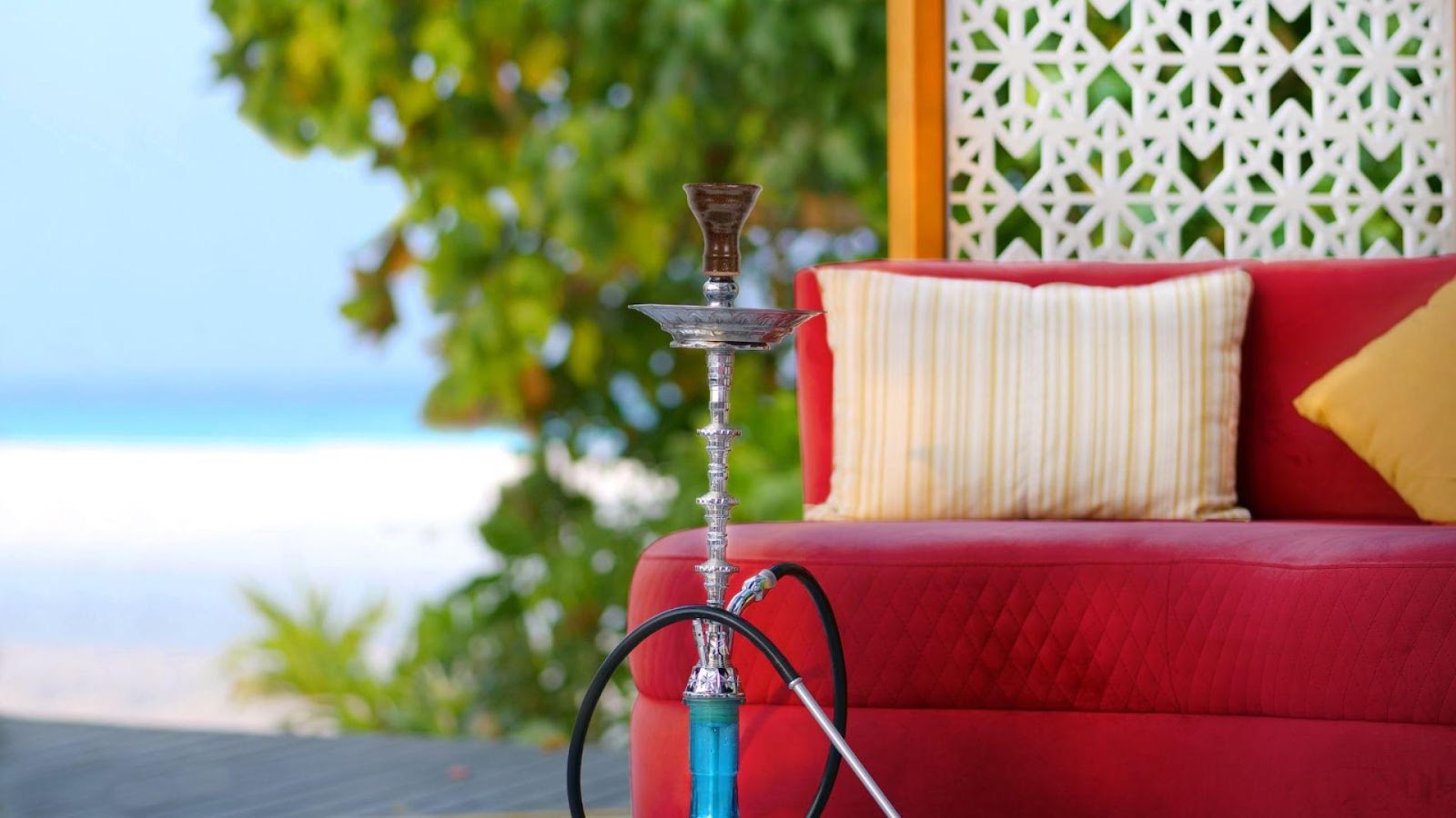 A hookah on a table

Description automatically generated