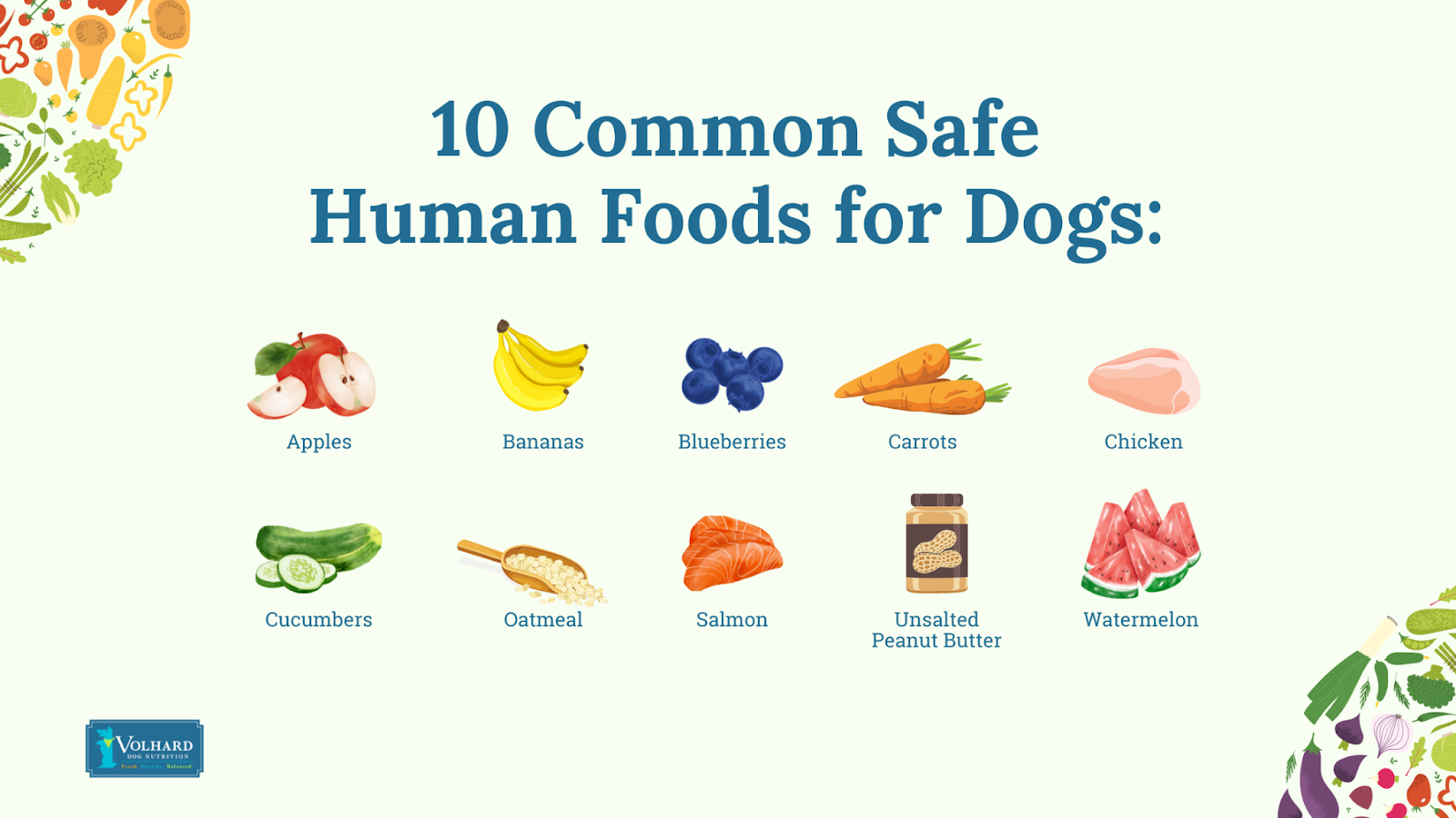 10 common safe human foods for dogs