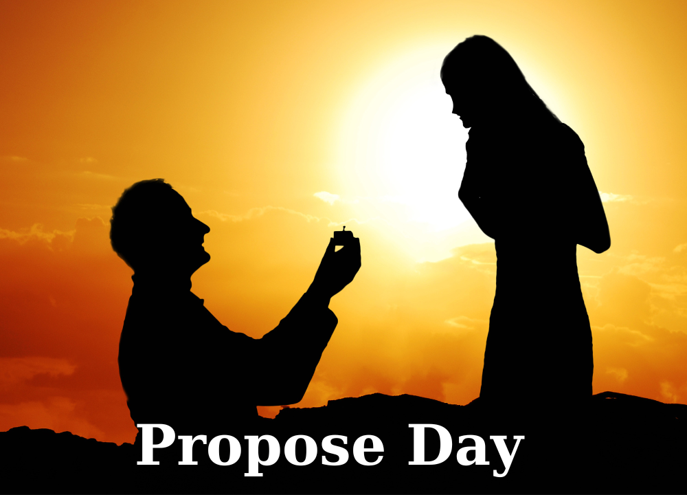 Propose Day : Valentine Week 