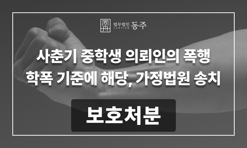 학교폭력 보호처분