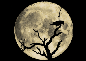 There is a full moon and a silhouette of a dead tree while a crow is sitting on it. 