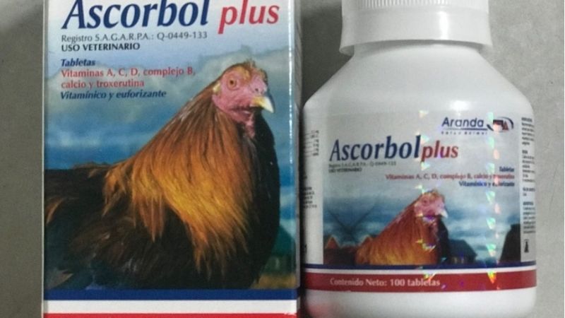 Thuốc tăng bo cho gà đá Ascorbol Plus