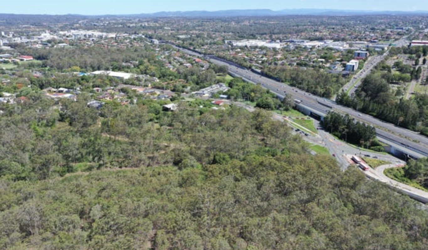 Toohey Forest