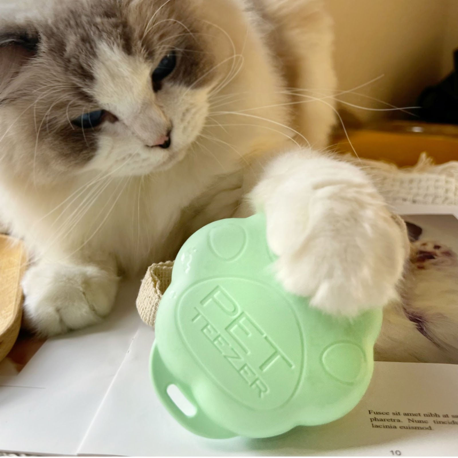 療癒梳毛時光！Tangle Teezer-PET TEEZE