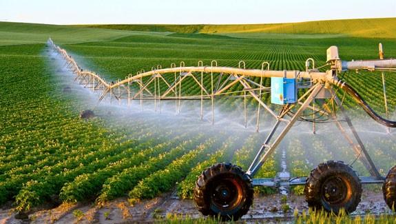 A irrigation system spraying plants

Description automatically generated with medium confidence