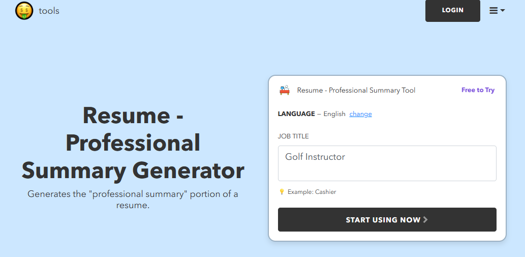 Nichesss Resume Professional Summary Generator