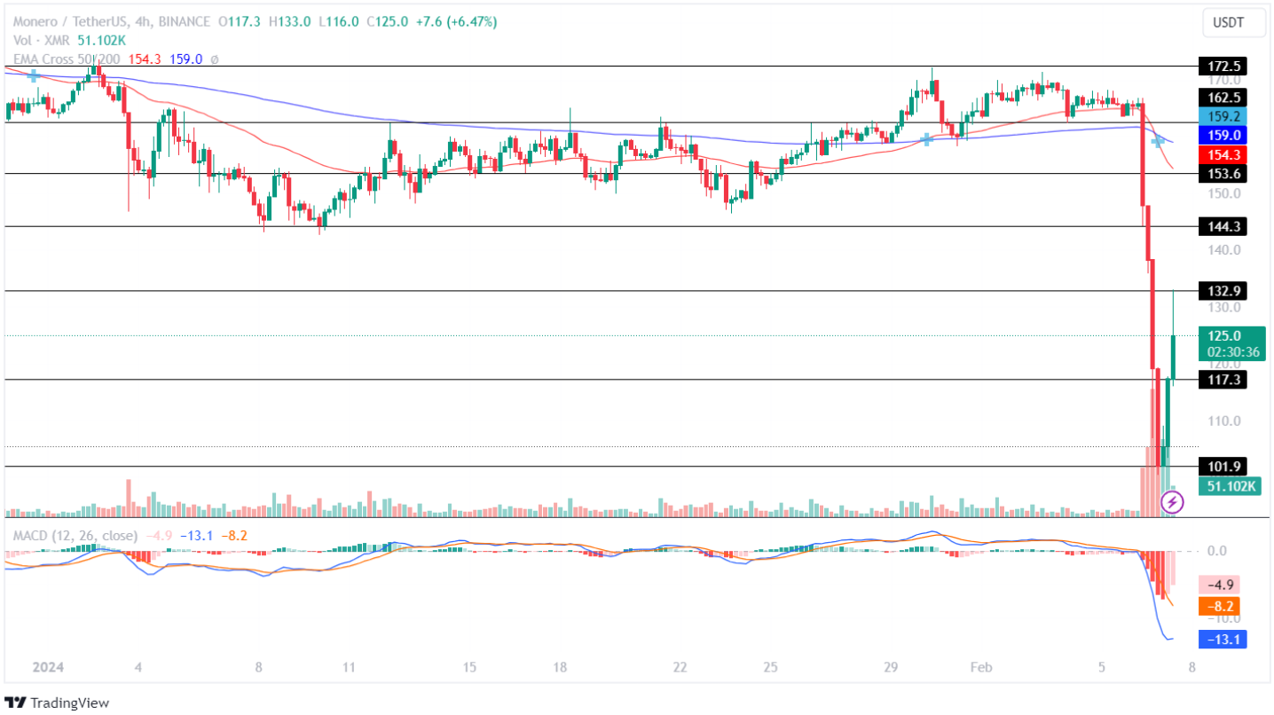 XMR Price Analysis