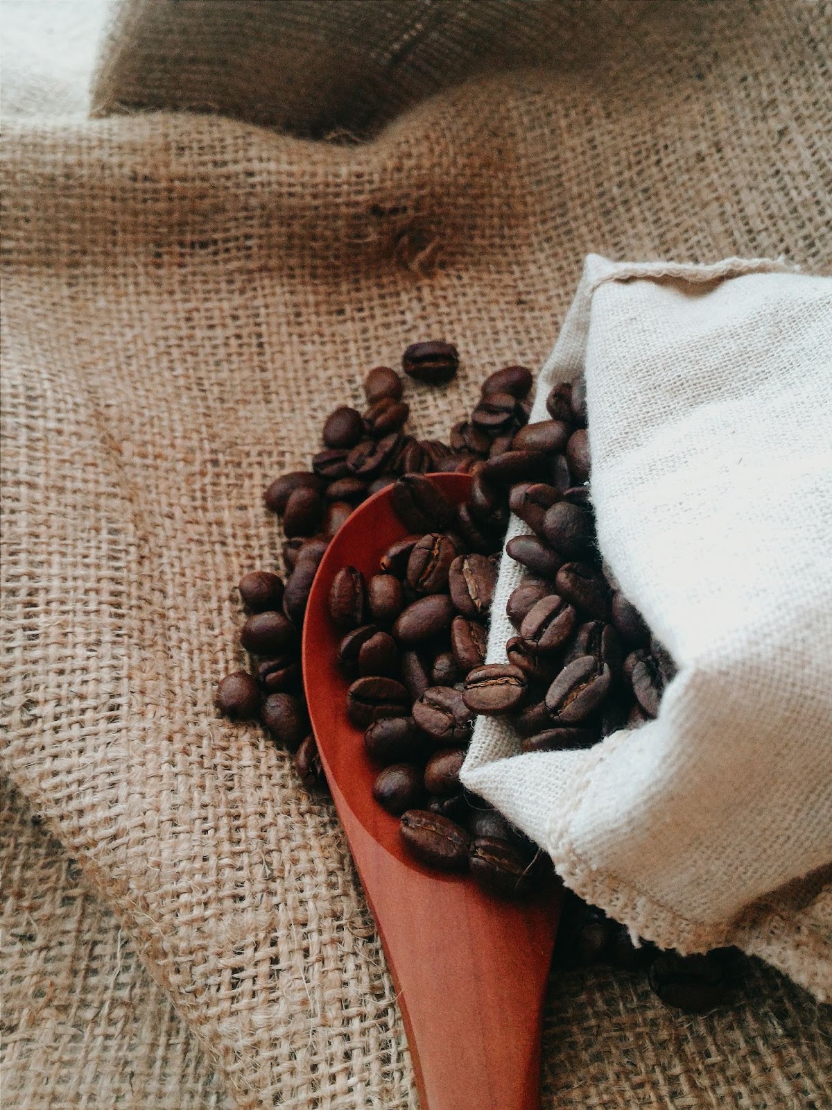 A wooden spoon overflows with dark roasted coffee beans on a burlap background.