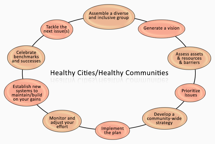 A circle chart depicting the phases of Healthy Cities/Healthy Communities. See the appendix for a more in-depth description.
