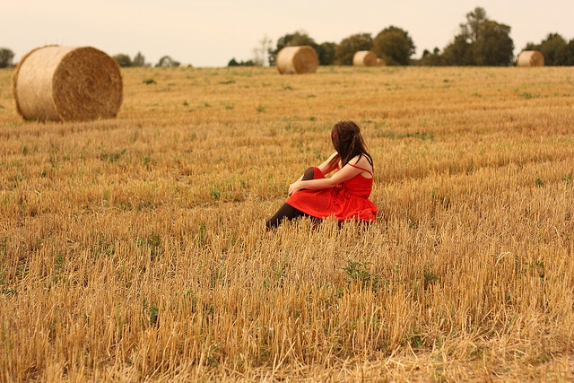 Difference Between Straw and Hay