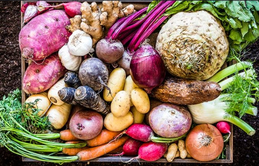 Root vegetables  as a superfood during winter 