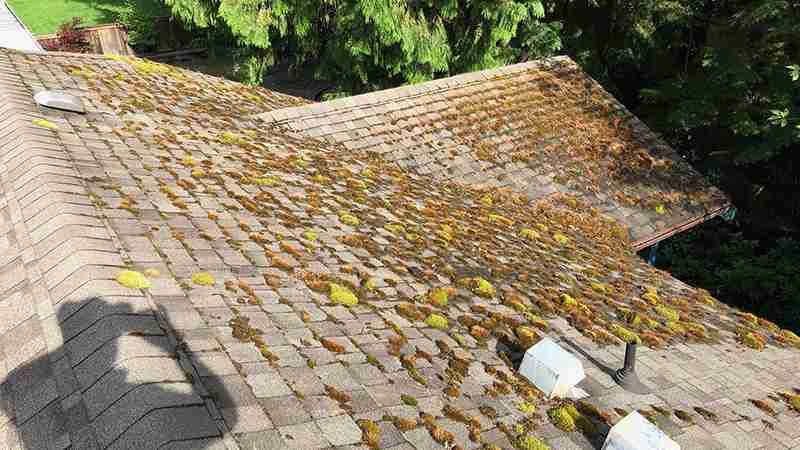 Revive Your Roofs Integrity