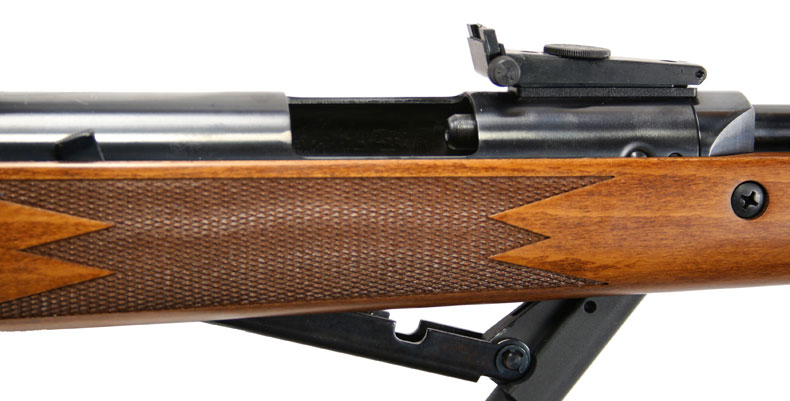 The discontinued RWS 460 Magnum is an underlever that was popular among high-end springer enthusiasts.